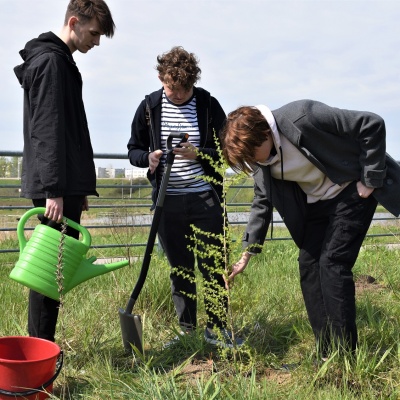 Akcja sadzenie drzewek w okolicach Stawu Godowskiego w Radomiu